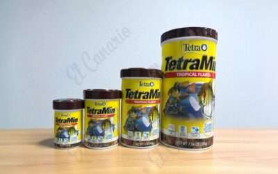 TetraMin Tropical Flakes: Guía completa para alimentar peces tropicales