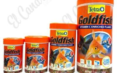 Guía para alimentar a tu Goldfish y por qué Tetra Goldfish es la mejor opción